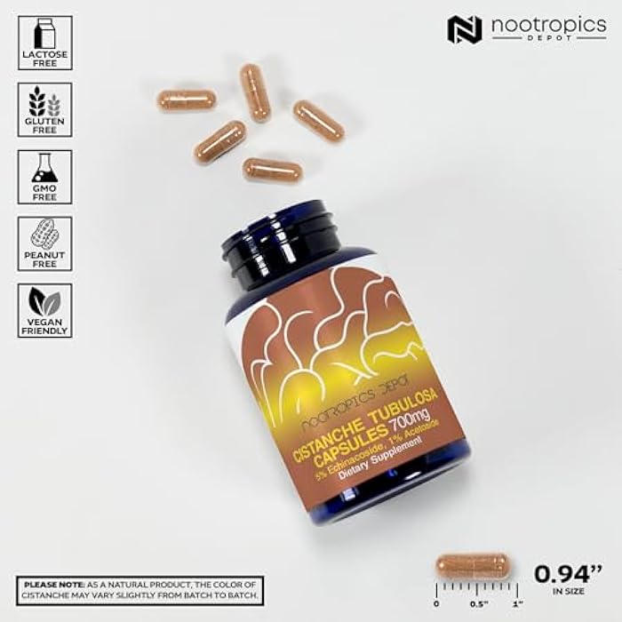 Nootropics Depot Cistanche tubulosa Capsules | 700mg | 5% Echinacoside + 1% Verbascoside (Acetoside) | 60 Count - Image 3