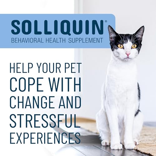 Nutramax Laboratories Nutramax Solliquin Calming Behavioral Health Supplement for Small to Medium Dogs and Cats - With L-Theanine, Magnolia / Phellodendron, and Whey Protein Concentrate, 75 Soft Chews - Image 3