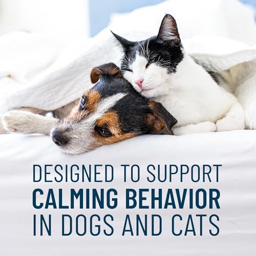 Nutramax Laboratories Nutramax Solliquin Calming Behavioral Health Supplement for Small to Medium Dogs and Cats - With L-Theanine, Magnolia / Phellodendron, and Whey Protein Concentrate, 75 Soft Chews - Image 2