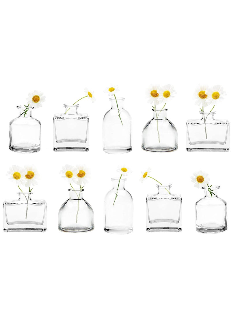Chive CHIVE Loft Small Mini Flower Vases - Clear Glass Bud Vases  Set of 10 - Cute Vintage Rustic Centerpieces for Wedding  Events & Home - Premium Quality  Designed to Last  - Image 1