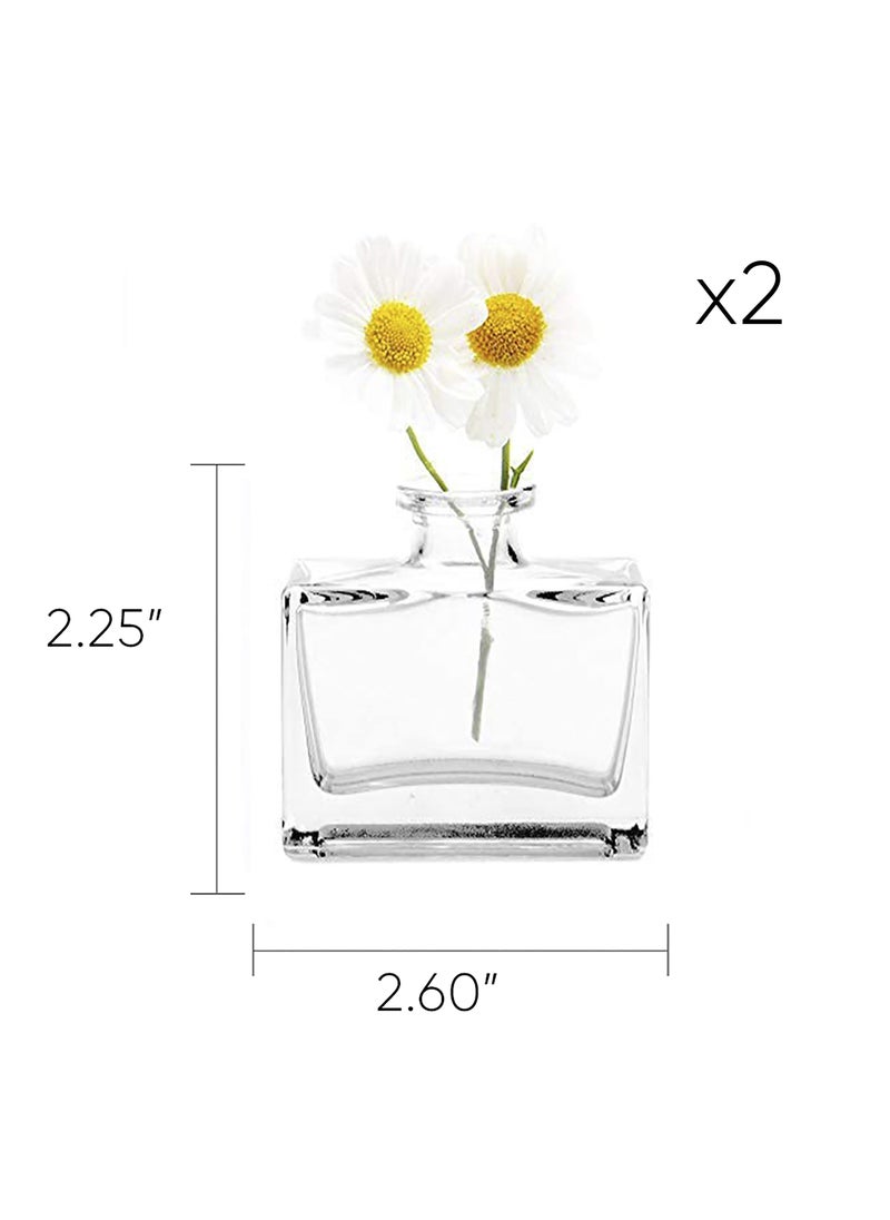 Chive CHIVE Loft Small Mini Flower Vases - Clear Glass Bud Vases  Set of 10 - Cute Vintage Rustic Centerpieces for Wedding  Events & Home - Premium Quality  Designed to Last  - Image 2