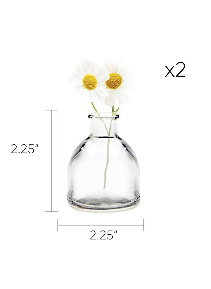 Chive CHIVE Loft Small Mini Flower Vases - Clear Glass Bud Vases  Set of 10 - Cute Vintage Rustic Centerpieces for Wedding  Events & Home - Premium Quality  Designed to Last  - Image 3