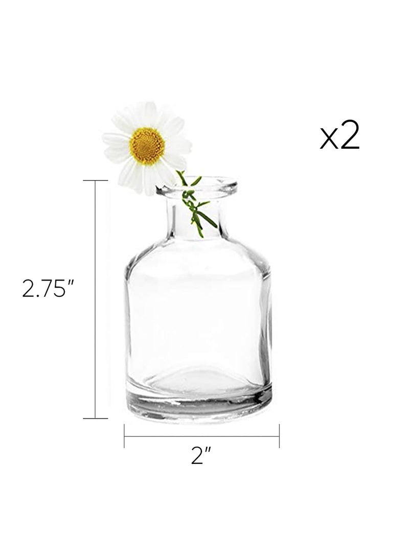 Chive CHIVE Loft Small Mini Flower Vases - Clear Glass Bud Vases  Set of 10 - Cute Vintage Rustic Centerpieces for Wedding  Events & Home - Premium Quality  Designed to Last  - Image 5