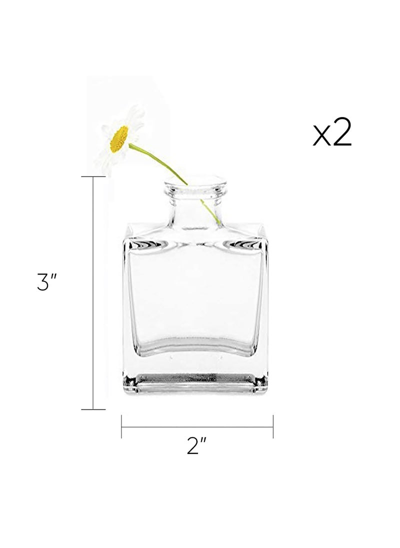 Chive CHIVE Loft Small Mini Flower Vases - Clear Glass Bud Vases  Set of 10 - Cute Vintage Rustic Centerpieces for Wedding  Events & Home - Premium Quality  Designed to Last  - Image 4
