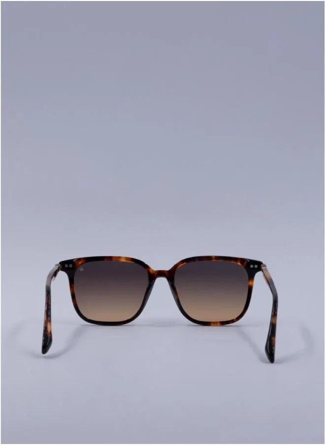 Scotch & Soda Beverly Square Sunglasses
