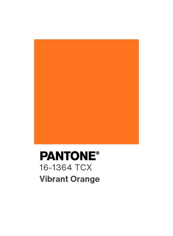 BYFT Threads Round Neck Plain T-Shirt - Orange (XL, Polycotton, Pantone 16-1364 TCX, Set of 01 Pcs) - Image 3