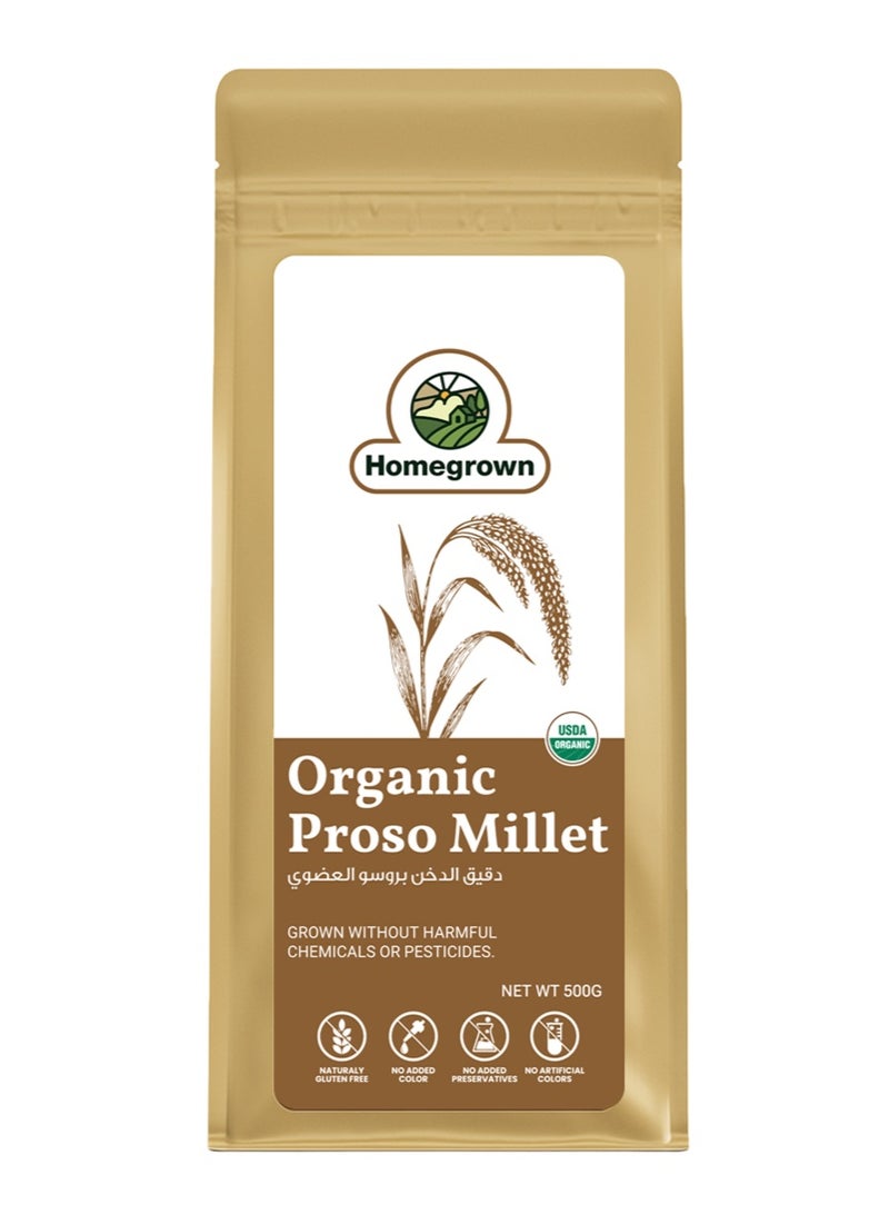 Homegrown Organic Proso Millet – 500g | Gluten-Free, High Fiber & Easy to Digest - Image 3
