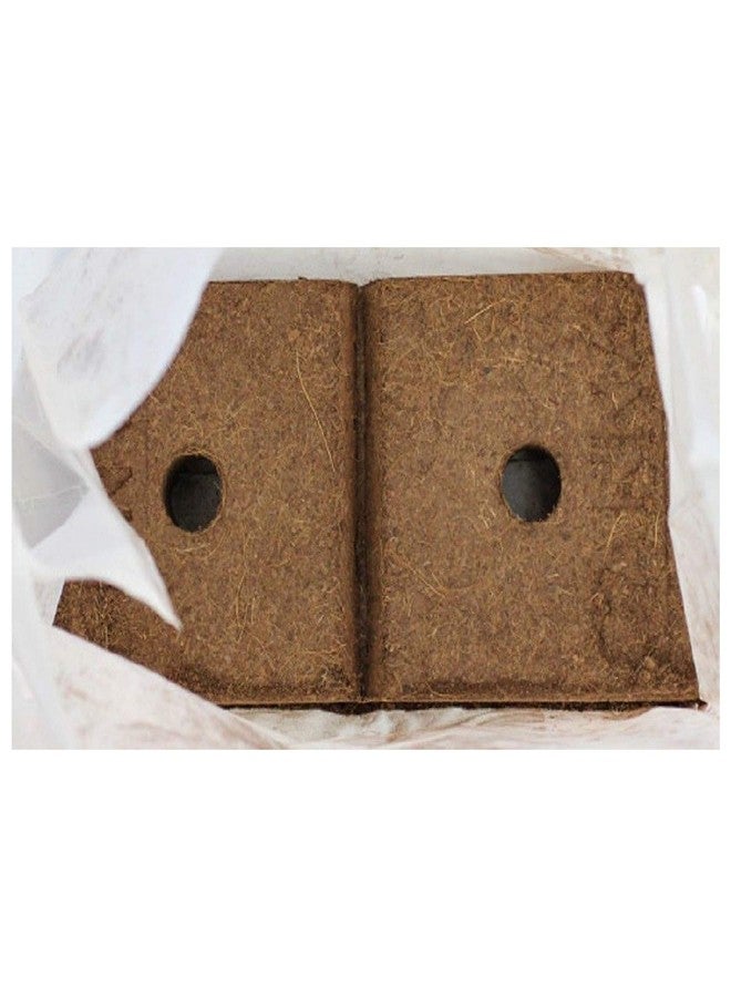 Canna Canna Coco Brick 40l Expandable Natural Plant Medium Soil Substrate, 40 Liter Expanded - 8 Liter Dry, Reusable (1) - Image 3