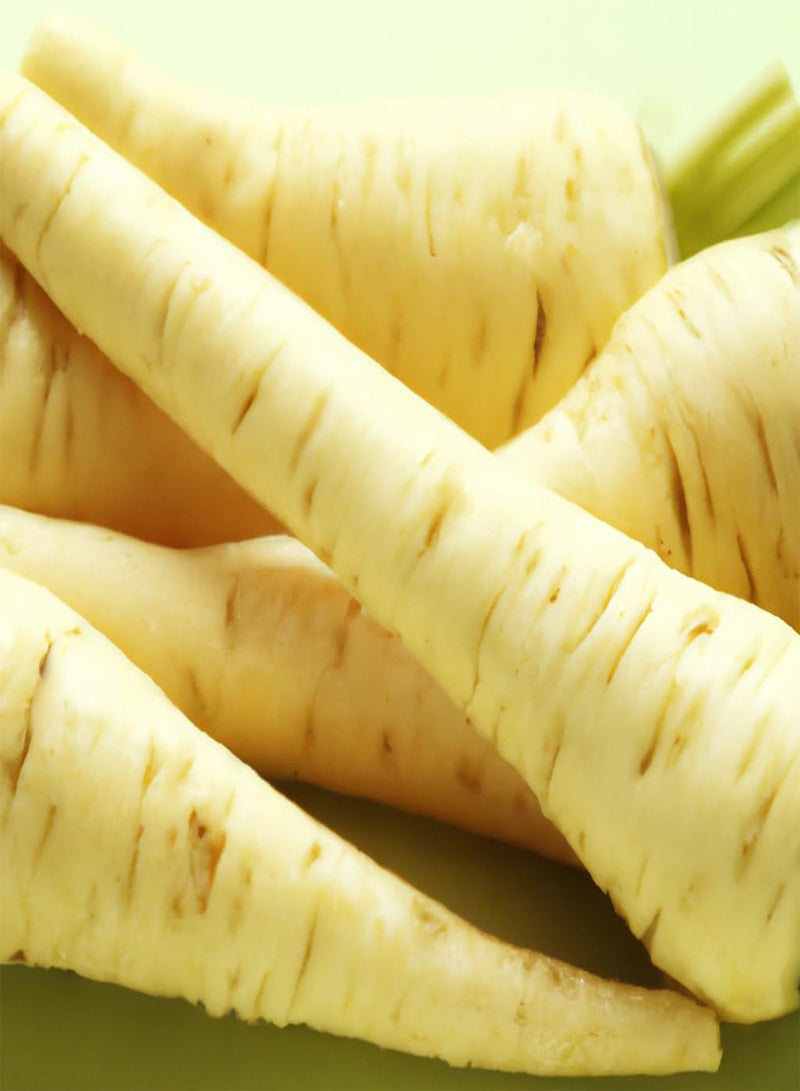 جي جوت بذور خضراوات الجزر الأبيض F1 Gladiator (مُحببة) حوالي 110 بذرة - Image 1