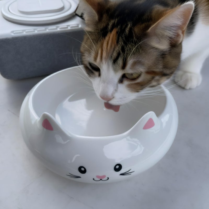 Raytrue-X Cat Bowls, Cat Food Bowl, Ceramic Cute Kitten Bowls for Food and Water 7.1oz, Small Dog Feeding Dish for Whisker Fatigue Friendly, Personal Design Home Decor Bowl, Multi-Use - Image 4
