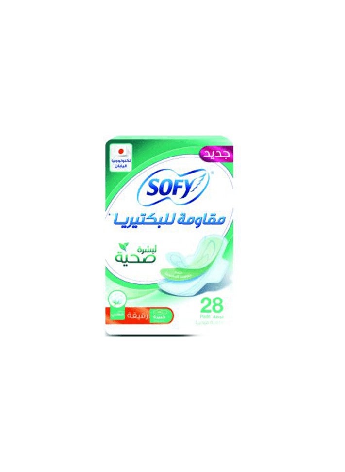 Soft, thin sanitary napkins that are resistant to bacteria to prevent itching and sticking to the skin for healthy skin, 28 pads - pzsku/ZDD687C0A526B369FE095Z/45/_/1723407317/5321cdaf-aa30-458d-b663-301e0222932e