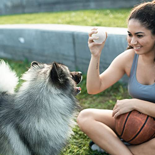 Swity Home Tennis Balls, 12 Pack Training Balls for Lessons, Practice, Playing with Pet (White) - Image 5