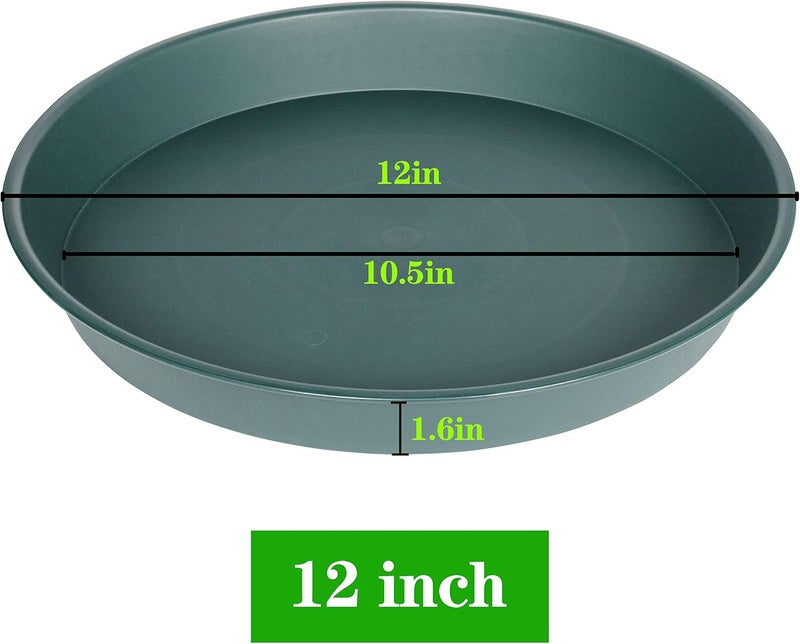 Bleuhome صحن نبات مقاس 12 بوصة أخضر - Image 2