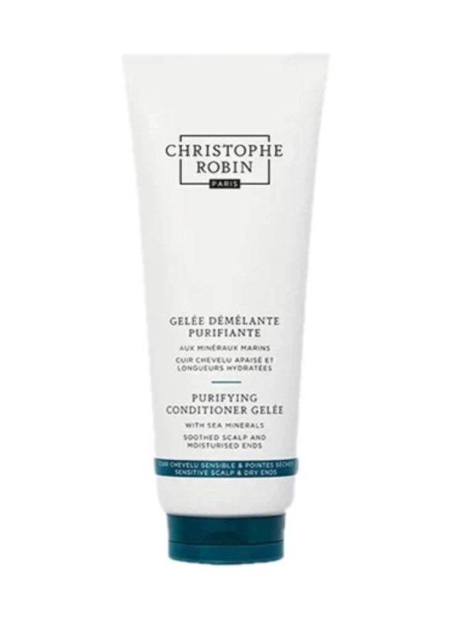 Christophe Robin - Purifying Conditioner Gelee With Sea Minerals 250ml - Image 1