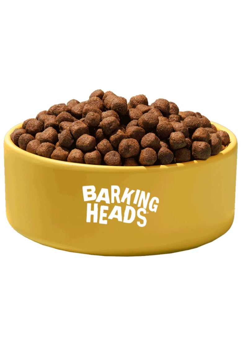 Barking Heads Complete Dry Dog Food - Adult All Hounder Hair Necessities Salmon  2 KG - Natural Grain Free Hypoallergenic for Skin & Coat - Vet Approved - Image 4