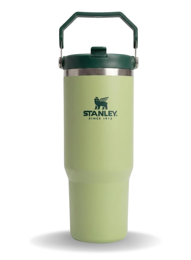 Stanley IceFlow 2.0 Fast Flow 30 oz Insulated Stainless Steel Tumbler with Handle – Leakproof BPA-Free Water Bottle with Twist-On Angled Spout Lid, Sage Green - Image 1