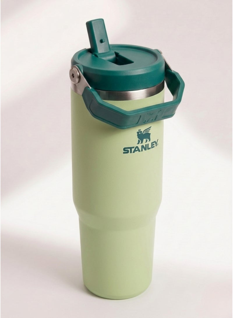 Stanley IceFlow 2.0 Fast Flow 30 oz Insulated Stainless Steel Tumbler with Handle – Leakproof BPA-Free Water Bottle with Twist-On Angled Spout Lid, Sage Green - Image 2