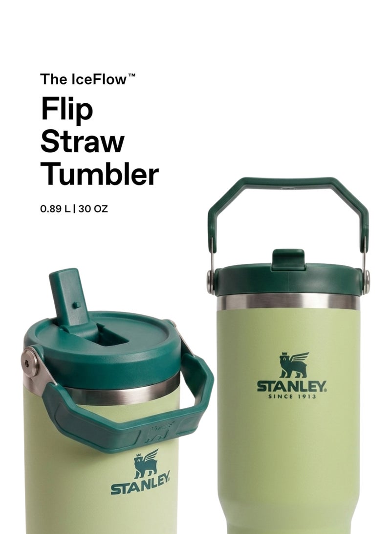 Stanley IceFlow 2.0 Fast Flow 30 oz Insulated Stainless Steel Tumbler with Handle – Leakproof BPA-Free Water Bottle with Twist-On Angled Spout Lid, Sage Green - Image 5