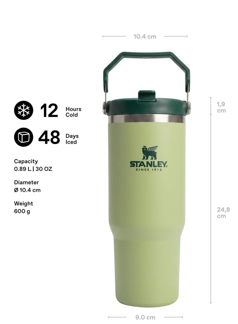 Stanley IceFlow 2.0 Fast Flow 30 oz Insulated Stainless Steel Tumbler with Handle – Leakproof BPA-Free Water Bottle with Twist-On Angled Spout Lid, Sage Green - Image 4