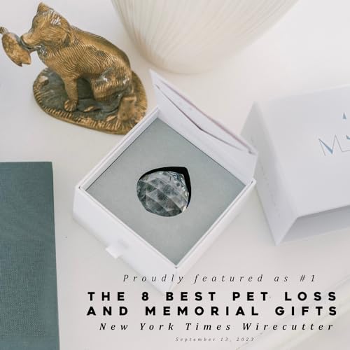 Memorialight Pet Memorial Gift - Unique Sympathy Gift for Loss of Dog & Cat, Modern Bereavement Gift for Daily Remembrance, Pet Loss Gift, 40mm Crystal Ornament Rainbow Maker & Paw Print Keepsake Card - Image 2