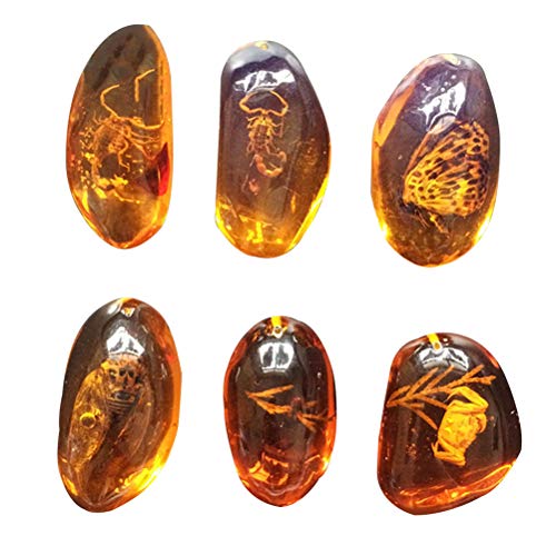 VORCOOL 5pcs Amber Fossil with Insects Samples Stones Crystal Specimens Home Decorations Collection Oval Pendant (Random Pattern) - Image 1