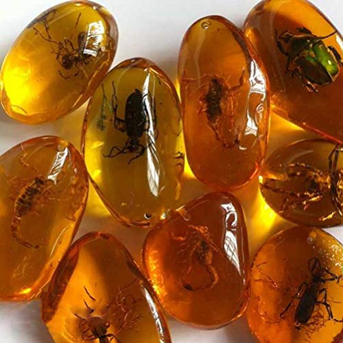 VORCOOL 5pcs Amber Fossil with Insects Samples Stones Crystal Specimens Home Decorations Collection Oval Pendant (Random Pattern) - Image 4