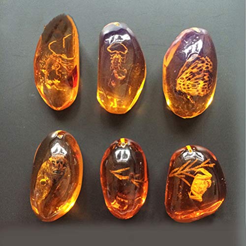 VORCOOL 5pcs Amber Fossil with Insects Samples Stones Crystal Specimens Home Decorations Collection Oval Pendant (Random Pattern) - Image 3