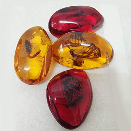 VORCOOL 5pcs Amber Fossil with Insects Samples Stones Crystal Specimens Home Decorations Collection Oval Pendant (Random Pattern) - Image 5
