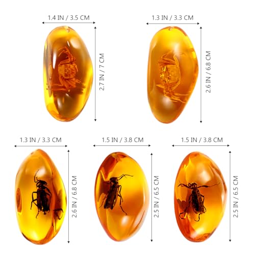 VORCOOL 5pcs Amber Fossil with Insects Samples Stones Crystal Specimens Home Decorations Collection Oval Pendant (Random Pattern) - Image 2