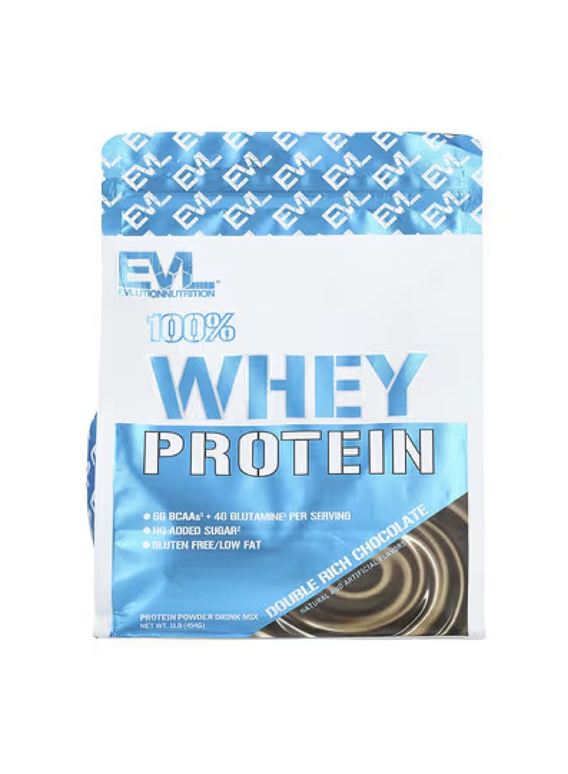 EVLUTION NUTRITION 100% Whey Protein, Double Rich Chocolate, 1 lb (454 g)