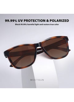 Polarized Sunglasses For Women Men Trendy Classic Retro Designer Style Fashion Uv400 Protection 3 Pack Black Brown Tortoise - pzsku/ZDD73901256802EEF4036Z/45/_/1735817705/3d09d081-b8ab-4bfc-9685-6798a2ffe32f