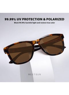 Polarized Sunglasses For Women Men Trendy Classic Retro Designer Style Fashion Uv400 Protection 3 Pack Black Brown Tortoise - pzsku/ZDD73901256802EEF4036Z/45/_/1735817706/74176517-6356-4691-967a-4379a839080a