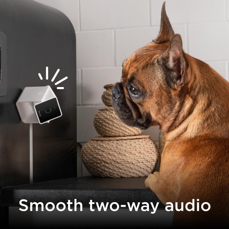 Petcube Cam Indoor Home Security Camera with 1080p HD Video, Two-Way Audio, Motion Detection, and Phone App, Night Vision Wi-Fi Camera for Apartment Security, Video Baby Monitor, Pet Camera (2pack) - Image 3