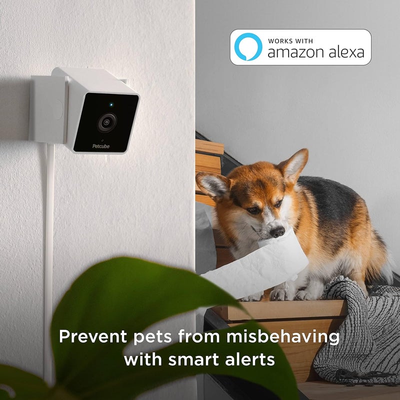 Petcube Cam Indoor Home Security Camera with 1080p HD Video, Two-Way Audio, Motion Detection, and Phone App, Night Vision Wi-Fi Camera for Apartment Security, Video Baby Monitor, Pet Camera (2pack) - Image 4