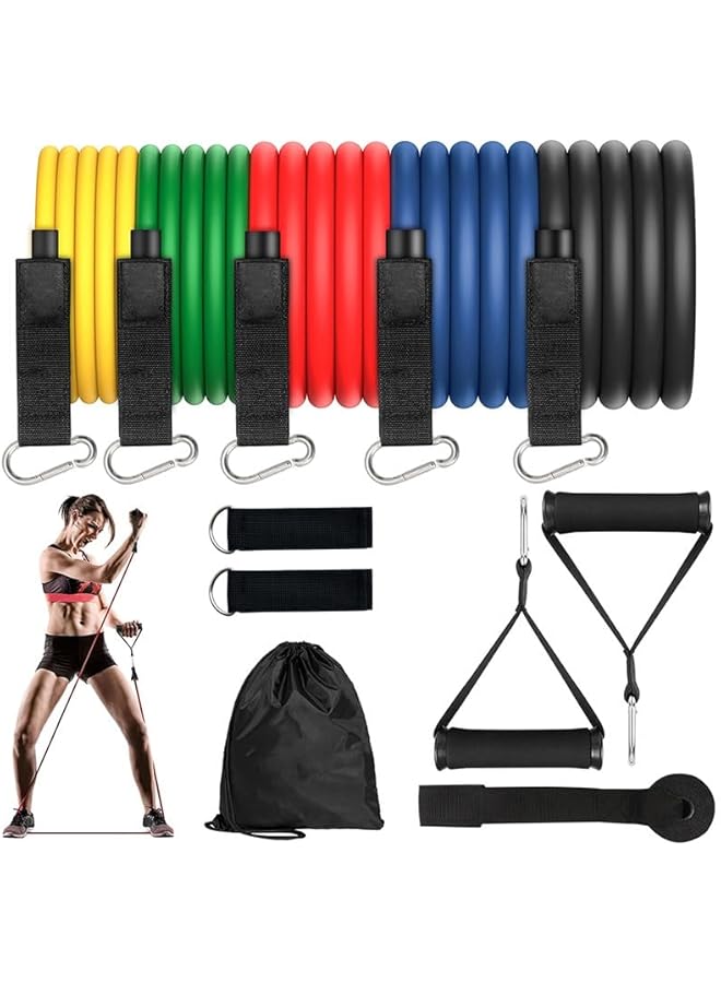 Resistance Bands Set, Workout Bands, Exercise Bands for Men and Women, Exercise Bands with Door Anchor, Handles, Legs Ankle Straps for Muscle Training, Physical Therapy, Shape Body
