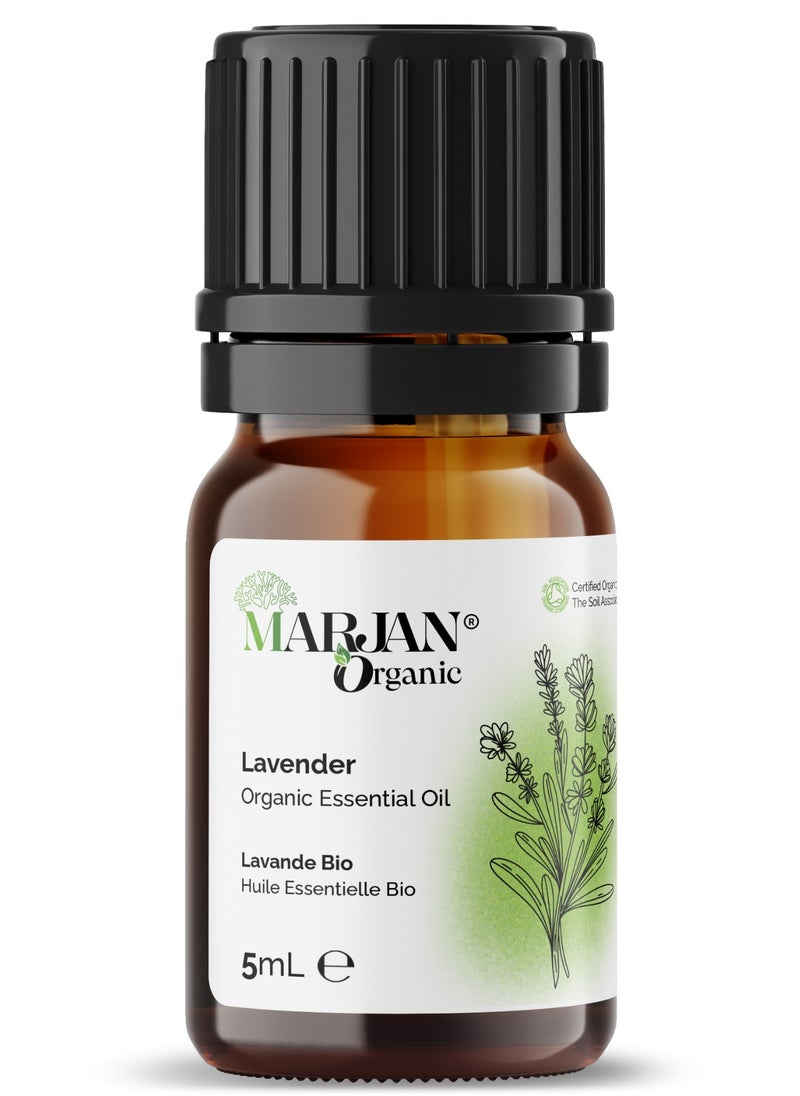 MARJAN ORGANIC Lavender Essential Oil 5ml - Certified Organic by The Soil Association  - Image 1