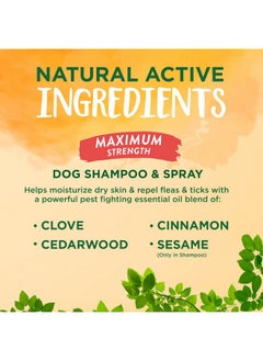 Natural Flea & Tick Max Strength Shampoo & Bedding Spray Bundle | Flea & Tick Prevention | Dog Shampoo | Flea & Tick Treatment Protects & Repels | Made In Usa - pzsku/ZDD79253BC02DBBA99612Z/45/_/1726222154/38364a2e-d65f-4078-9f10-43c6d38bd128