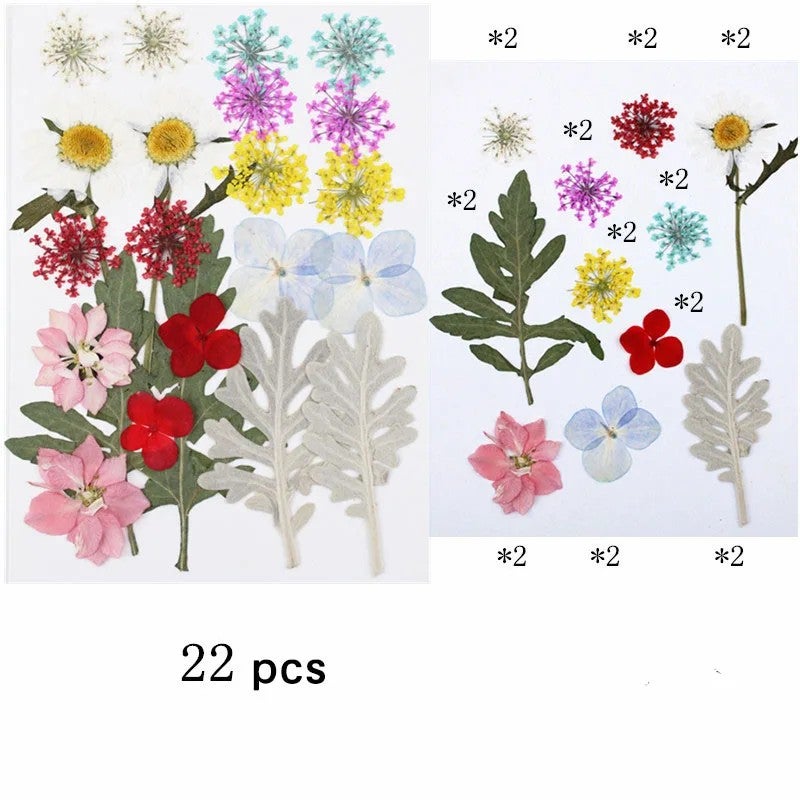 Y&D M031 Handicraft Flower Press Bulk Mix: Real Dried Pressed Natural Flowers for Resin Art & Vases - Image 1