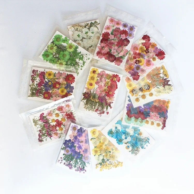 Y&D M031 Handicraft Flower Press Bulk Mix: Real Dried Pressed Natural Flowers for Resin Art & Vases - Image 3