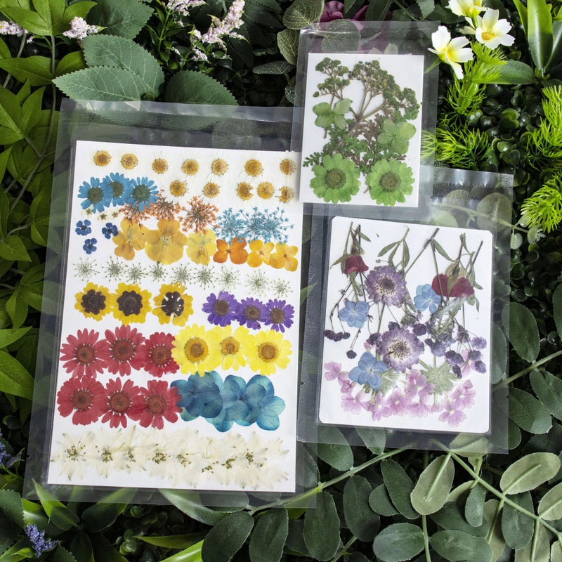 Y&D M031 Handicraft Flower Press Bulk Mix: Real Dried Pressed Natural Flowers for Resin Art & Vases - Image 5