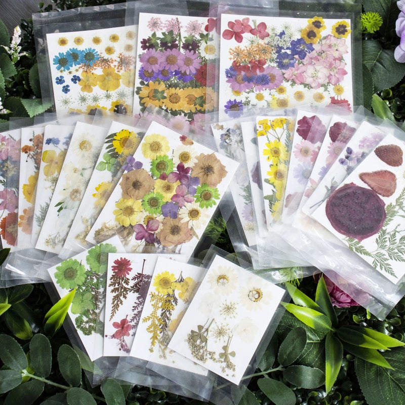 Y&D M031 Handicraft Flower Press Bulk Mix: Real Dried Pressed Natural Flowers for Resin Art & Vases - Image 4