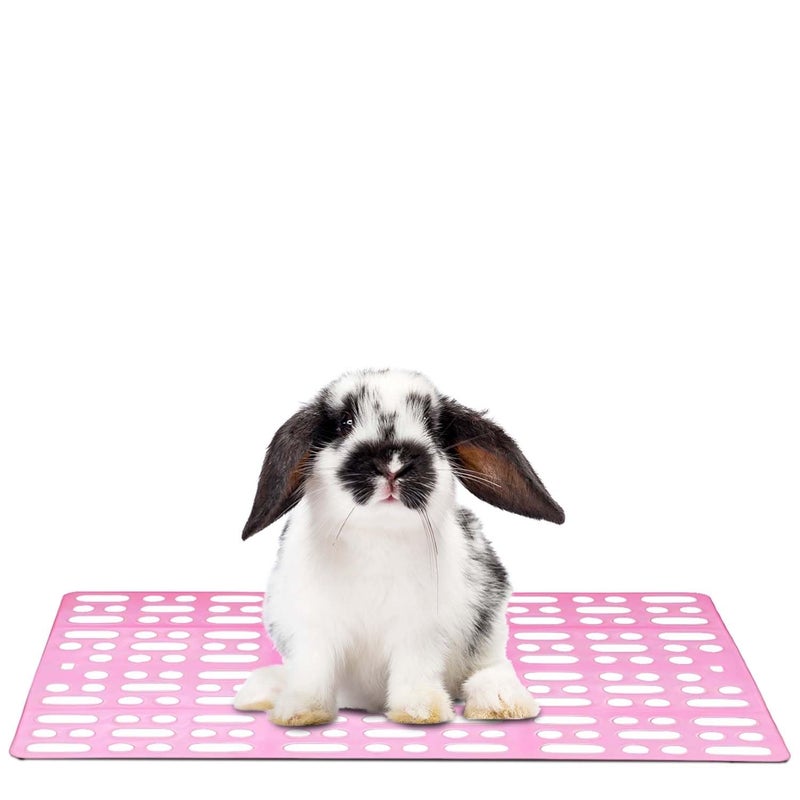 Sage Square Plastic Rabbit Floor Mat Soft, Comfortable, Non-Slip Mat for Small Pets, Ideal for Indoor Use, Easy to Clean, Durable, Pet-Safe, Provides Comfort, Warmth & Hygiene in Cages (Pink) - Image 1