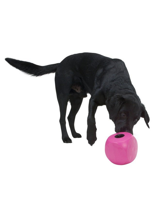 KRUUSE Kruuse Buster Mini Cube Feeder, Cherry - Dog Puzzle Toy, Treat Dispenser, Mental Stimulation, Small Breeds  - Image 2