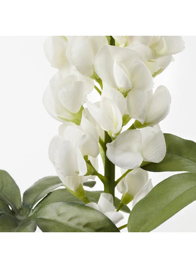 زبون زهرة صناعية، لون الترمس/الأبيض، 74 سم - Image 2