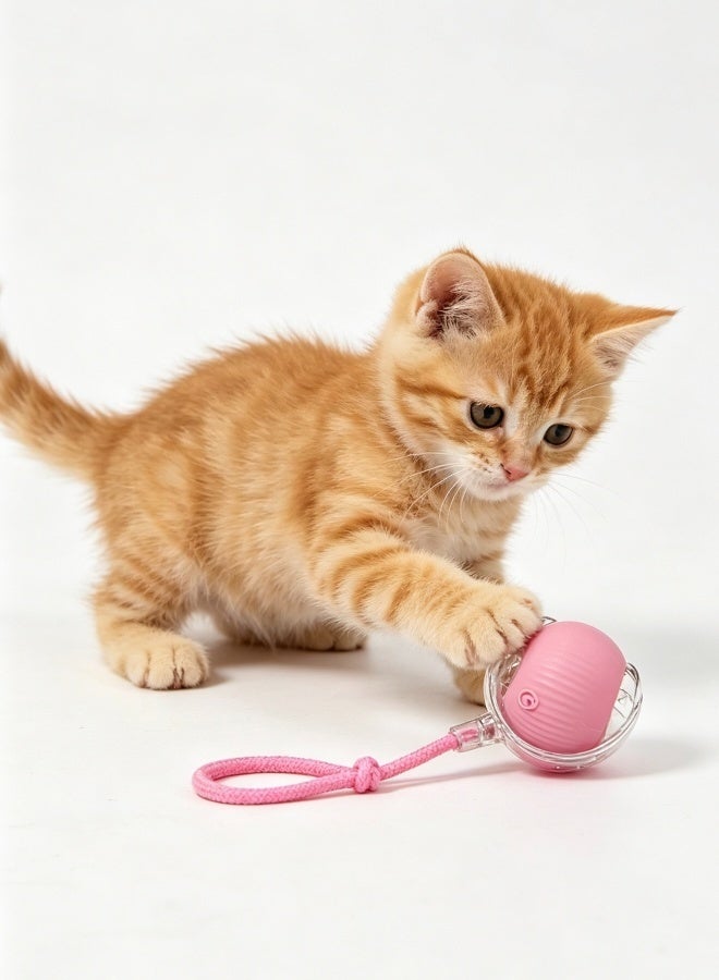 USB Rechargeable Interactive Cat Ball Toy Automatic Moving Ball with Light Obstacle Avoidance Silent Pet Play Toy for Indoor Cats (Pink) - Image 5