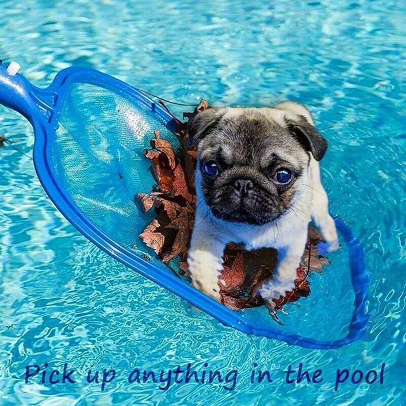 كلاراكو شبكة تنظيف حوض السباحة من كلاركو، شبكة تلسكوبية من أوراق الشجر، شبكة دقيقة لتنظيف حوض السباحة وحوض الاستحمام الساخن والمنتجع الصحي، شبكة تنظيف حوض السباحة، شبكة استبدال لشبكة تنظيف حوض السباحة - Image 2