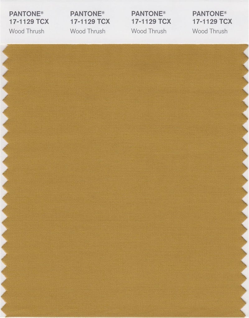 Smart 17-1129X Color Swatch Card, WoodThrush