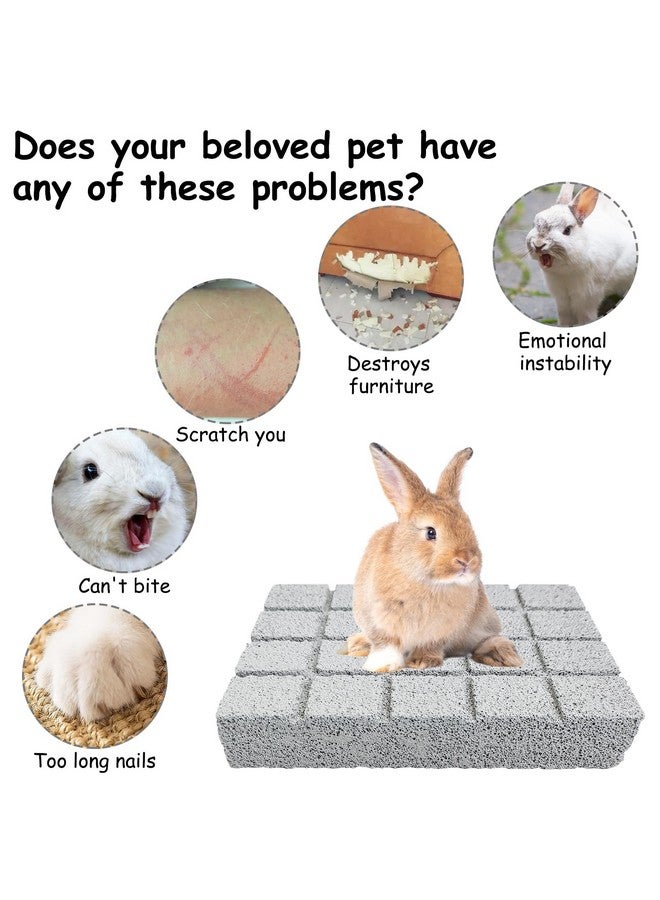 Hamiledyi 2PCS Rabbit Scratching Pads Bunny Lava Grinding Claw Pads Small Animal Foot Pads Hamster Scratch Board Chew Toys for Gerbil Chinchilla Hedgehog Guinea Pig Cage Accessories - Image 4