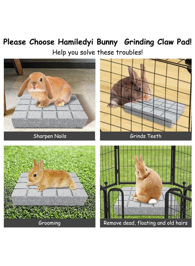 Hamiledyi 2PCS Rabbit Scratching Pads Bunny Lava Grinding Claw Pads Small Animal Foot Pads Hamster Scratch Board Chew Toys for Gerbil Chinchilla Hedgehog Guinea Pig Cage Accessories - Image 5