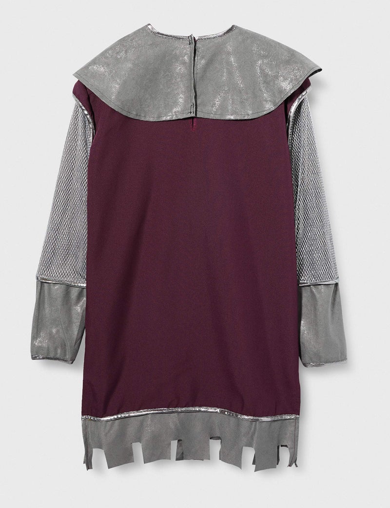 Fun World mens Costumes Noble Knight adult sized costumes, Multicolored, X-Large US - Image 3